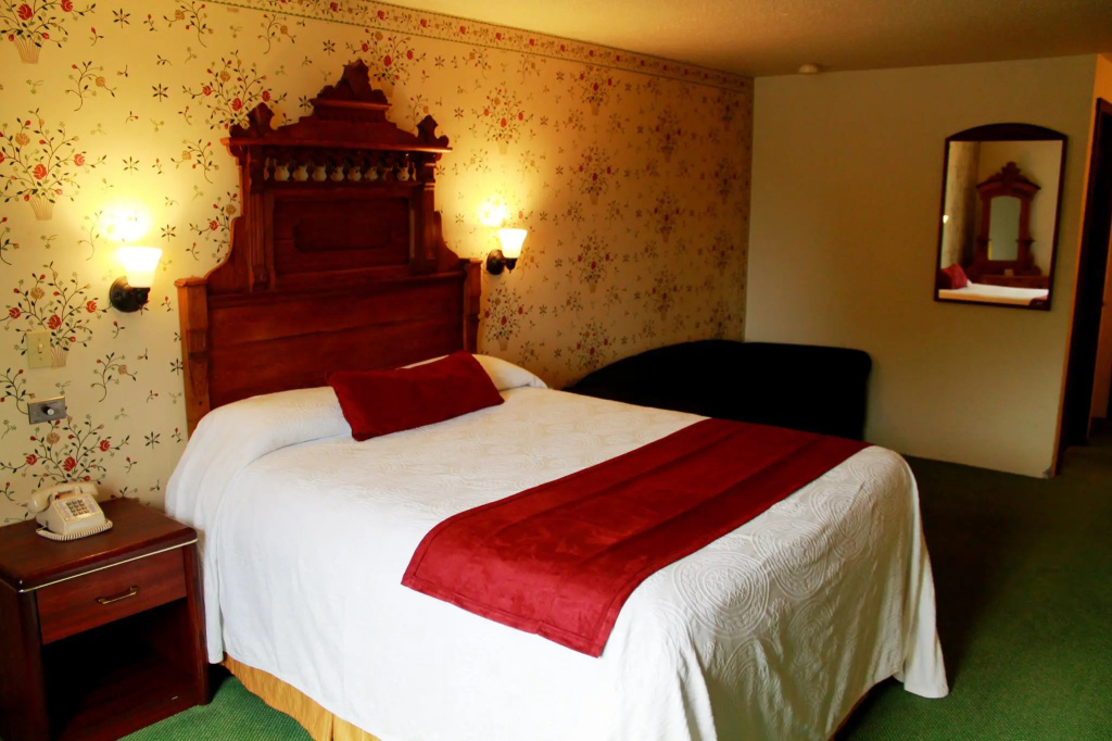 Standard Double room (full double bed)
