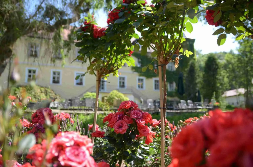 Ringhotel Schlosshotel Ernestgrün - Général