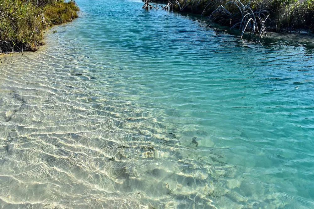 Beach & Waterfront