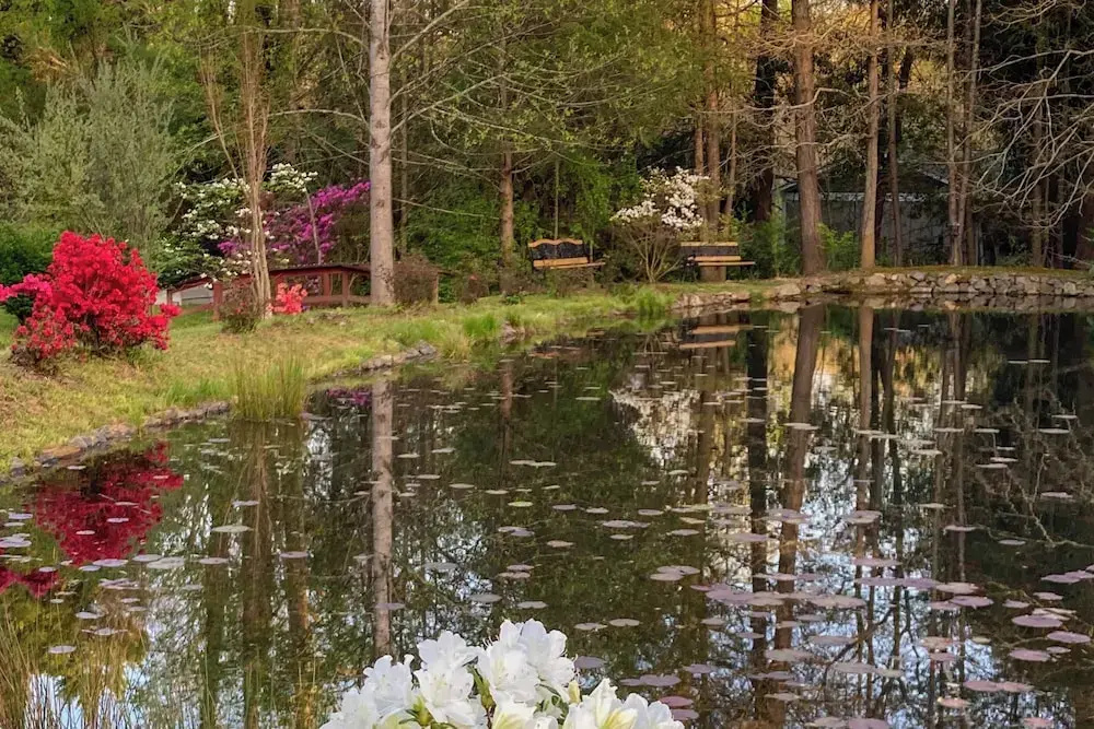 2BR House in Town w/ Laundry, Wifi, Pond