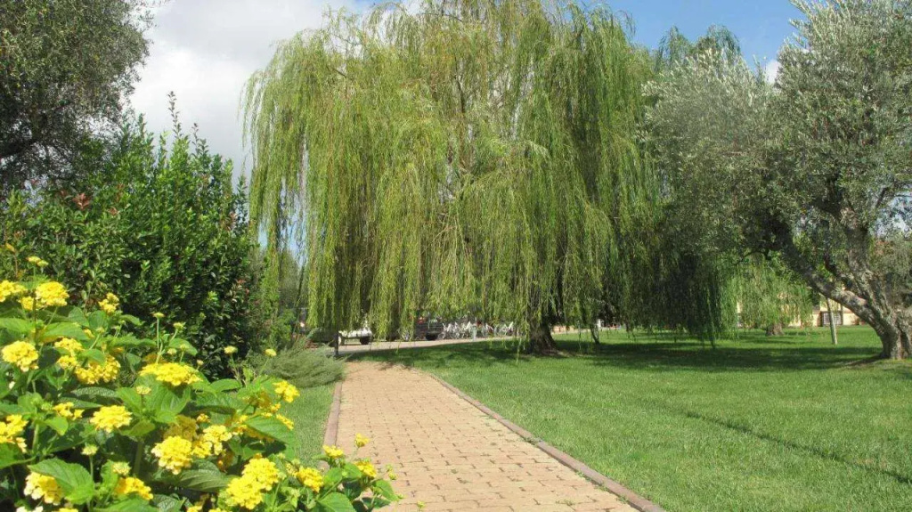 Agriturismo Podere Turicchio - Général