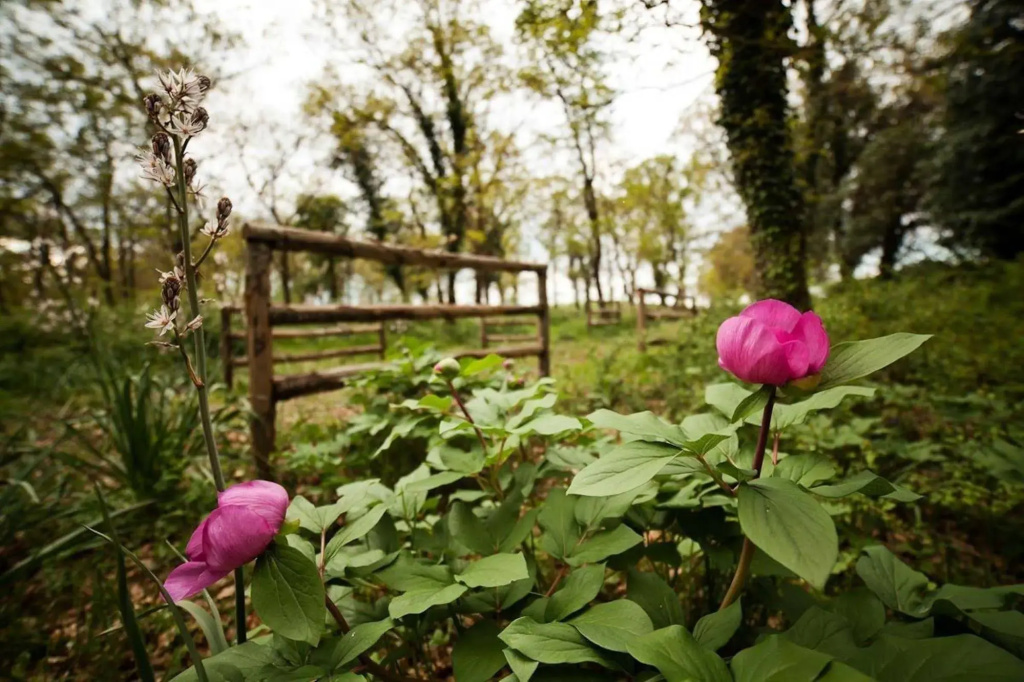 Tenute D'Onghia - фото 46