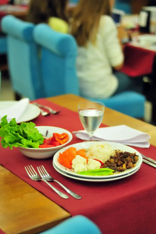 Yeniceri City Hotel - Général
