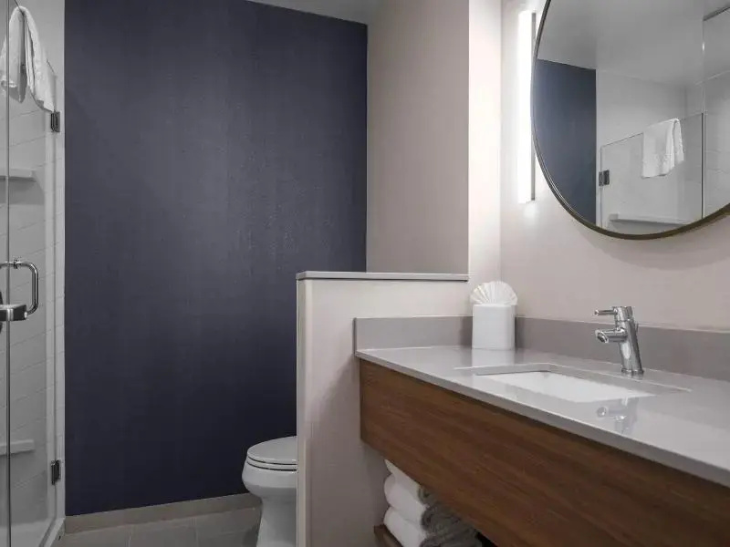 Fairfield Inn & Suites by Marriott Dallas DFW Airport North/ Irving - Chambres