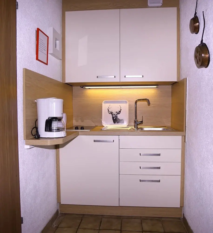 1 Bedroom Studio with balcony and with mountain view