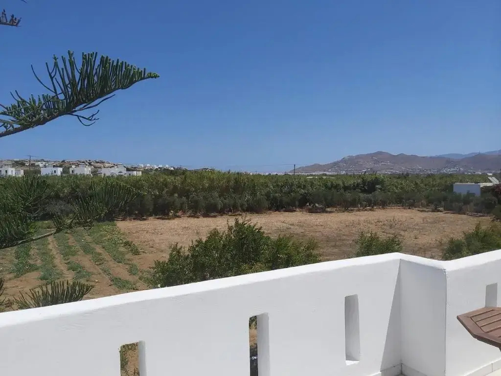 Balcony & Terrace