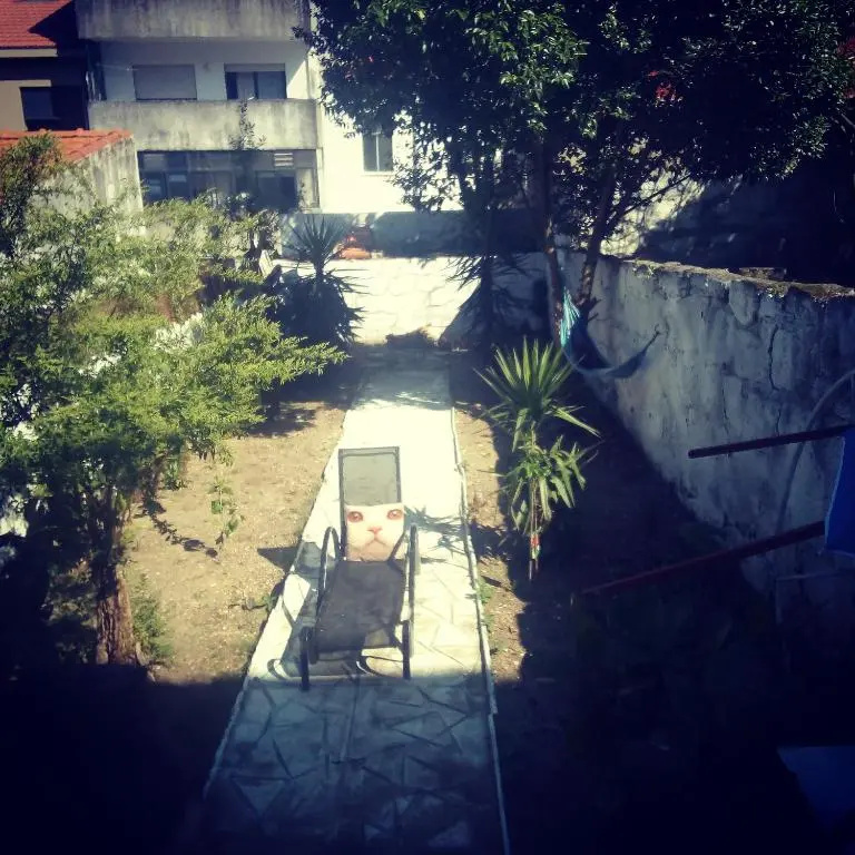 Alegria Apartment