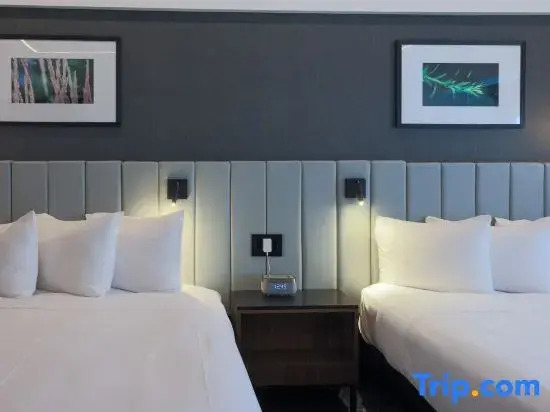 Четырёхместный номер Superior в Hotel Bonaventure Montreal