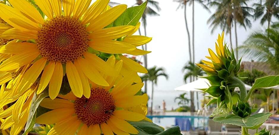 Sun & Sands Beach Hotel