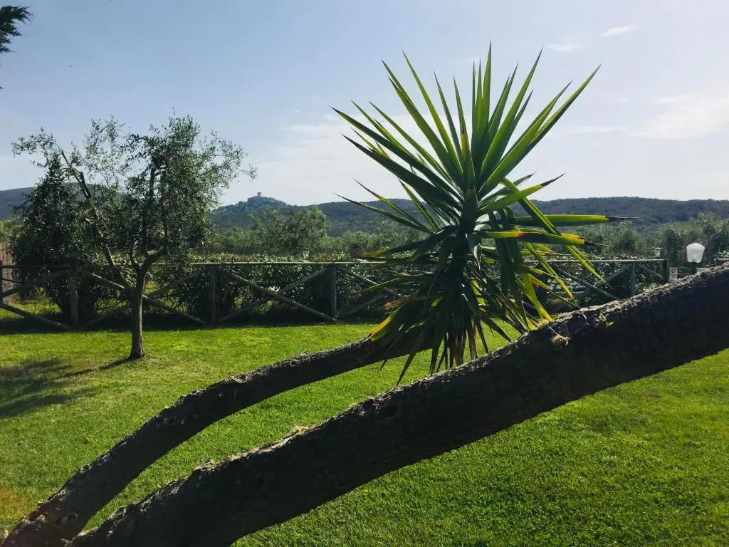 Agriturismo il Portico - Général