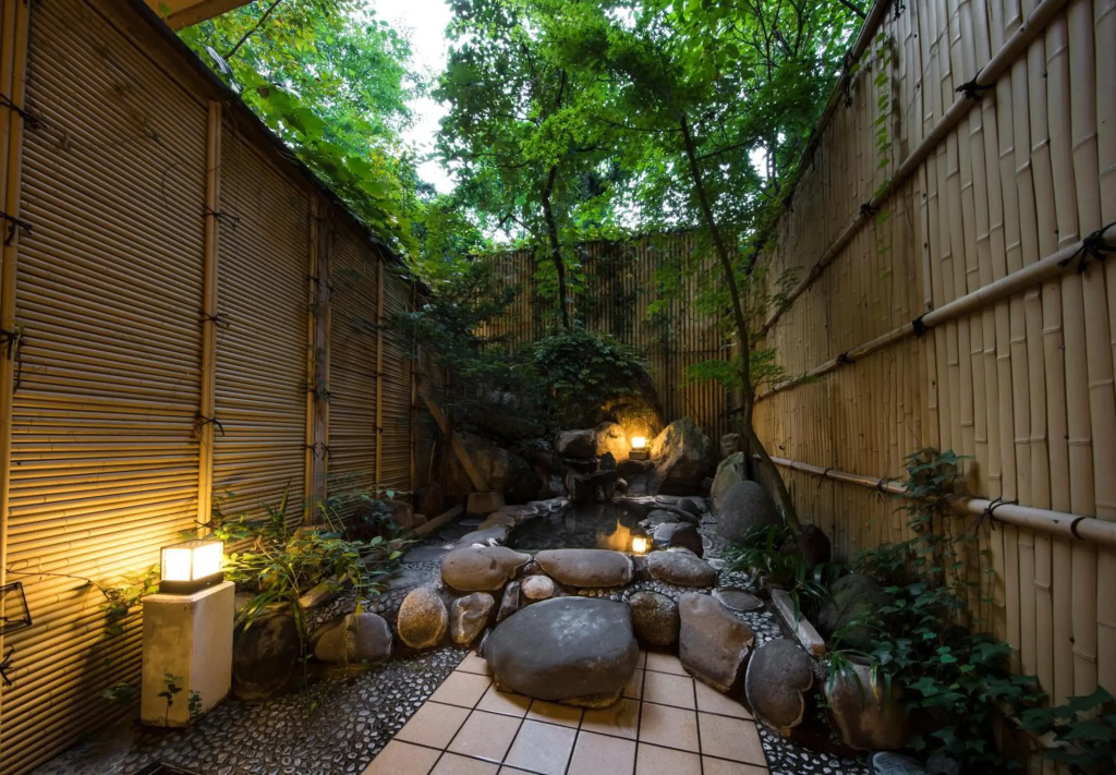 Hotel Shirakawa Yunokura - Général