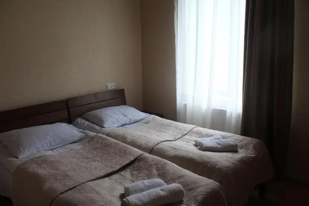 Standard Double room (twin beds)