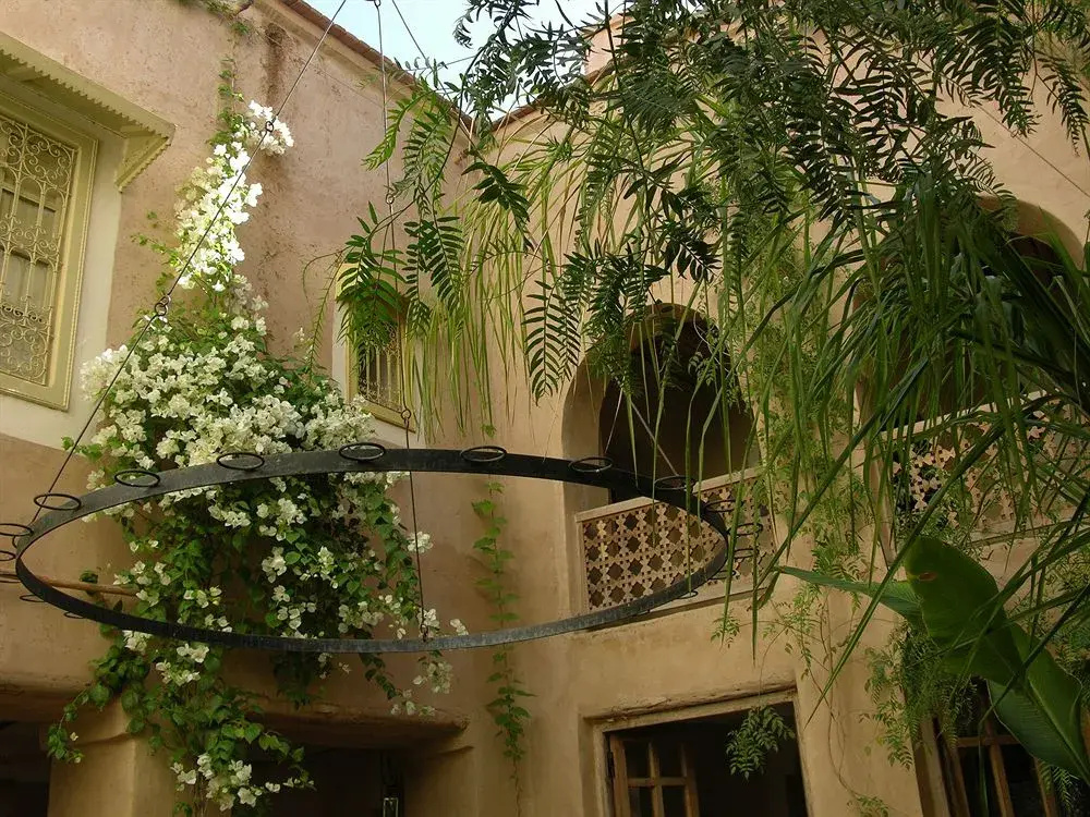 DarZahia