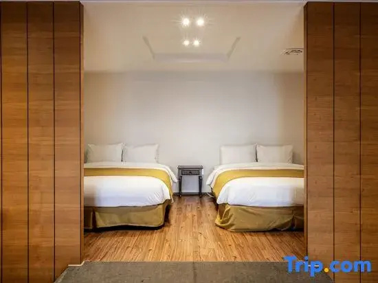 Deluxe Double Basement room (twin beds)