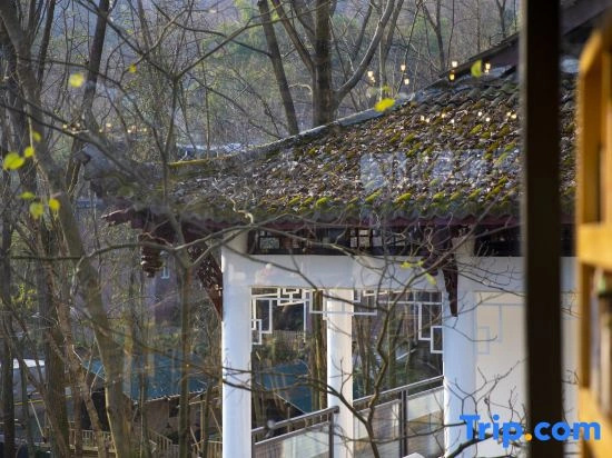 Zunbo Forest Vacation Apartment (Qingcheng Mountain Scenic Area)