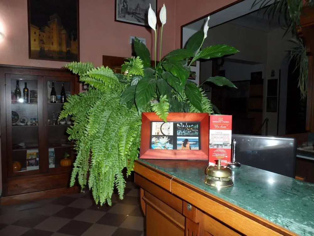 Hotel photo 18
