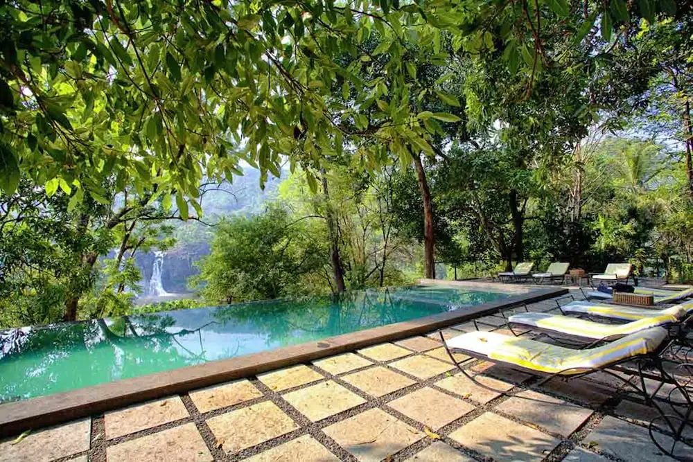 Rainforest Boutique Resort - Général