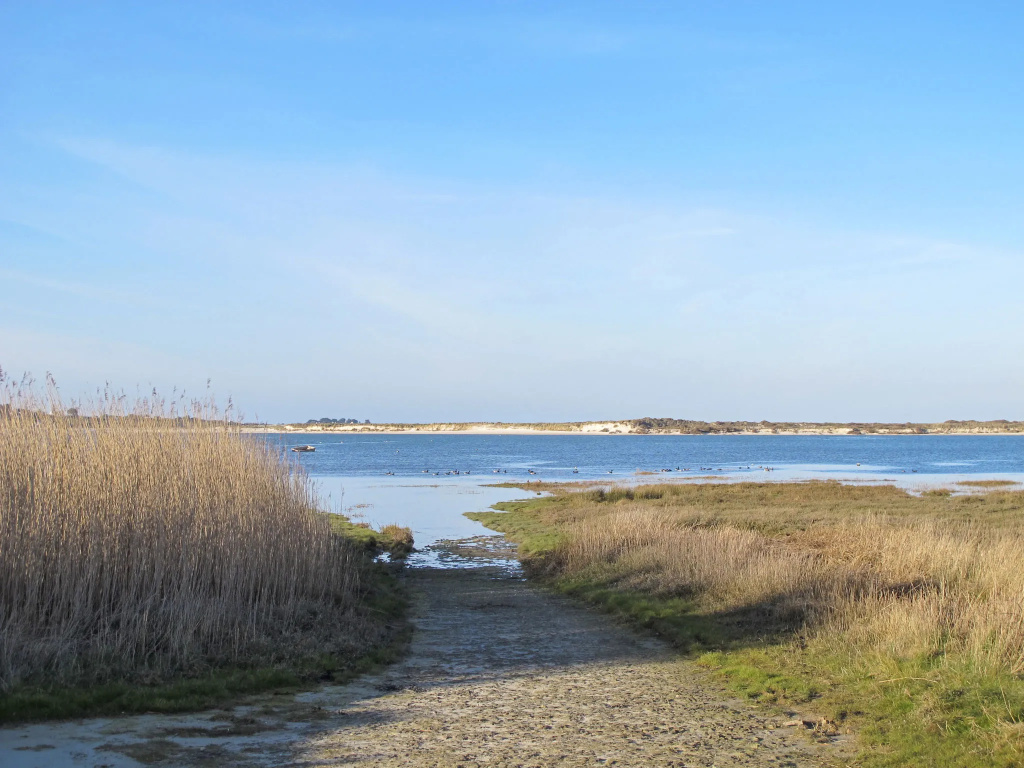 Afficher la photo 7 — La Charmeuse (GOV203)