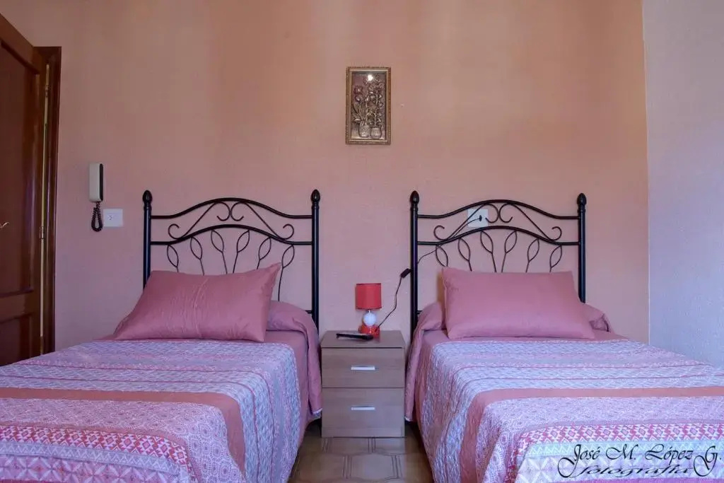 Standard Double room (twin beds)
