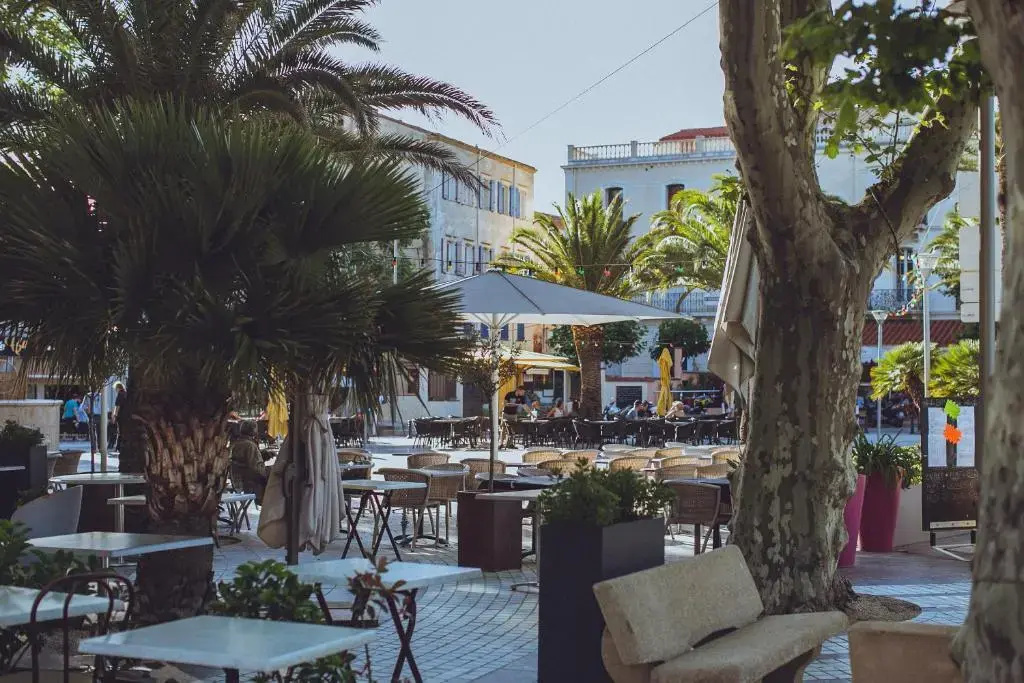 Regina's Banyuls - Top view
