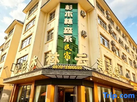 Shanmulin Yunhai Hotel (Zhaotong Wanghai Park)