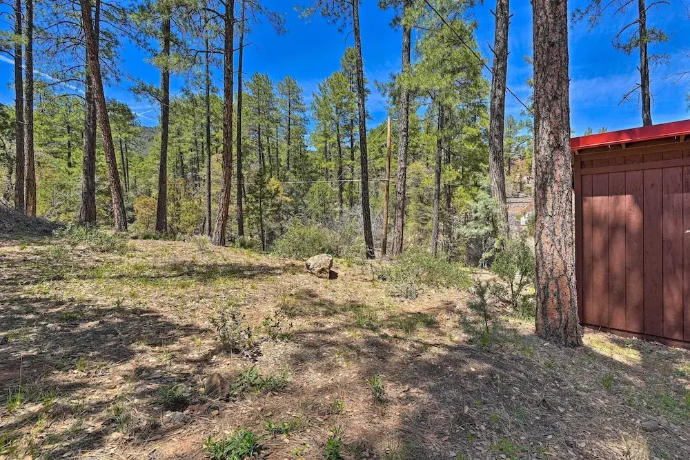 Cabin in Tonto National Forest: Deck & Views!