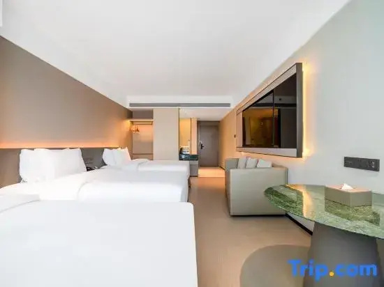 Songyang Tianyuan International Hotel - Chambres