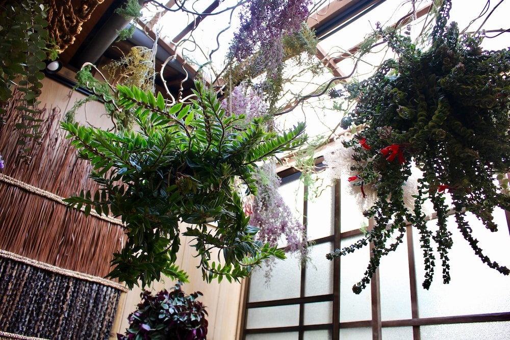 Kumano House 사진 16