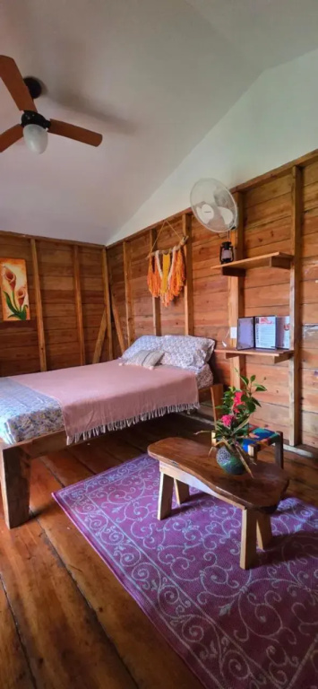 Green House Hostel 1