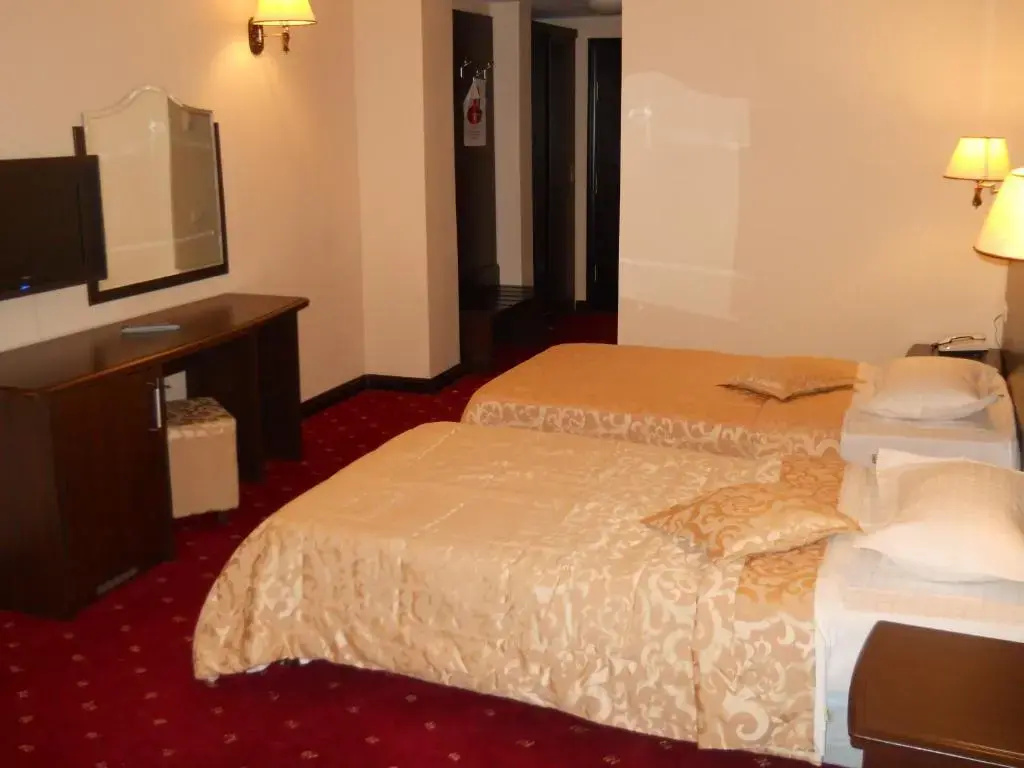 Standard Double room (twin beds)