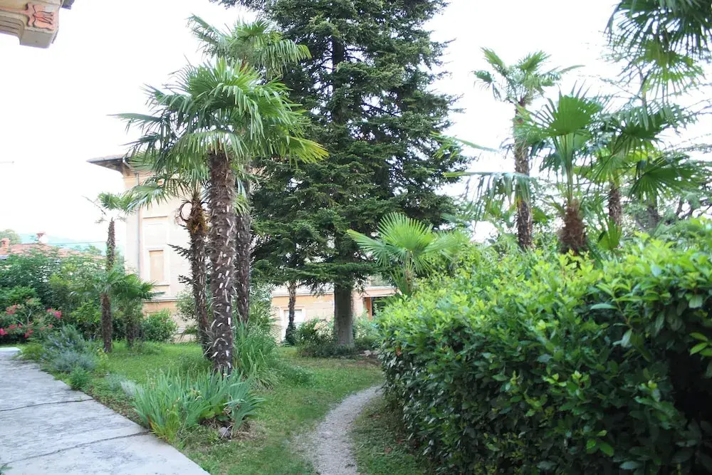 Hotel photo 28
