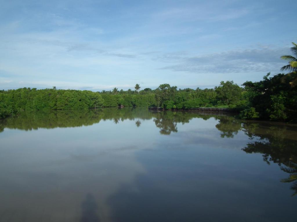 Coconut Island