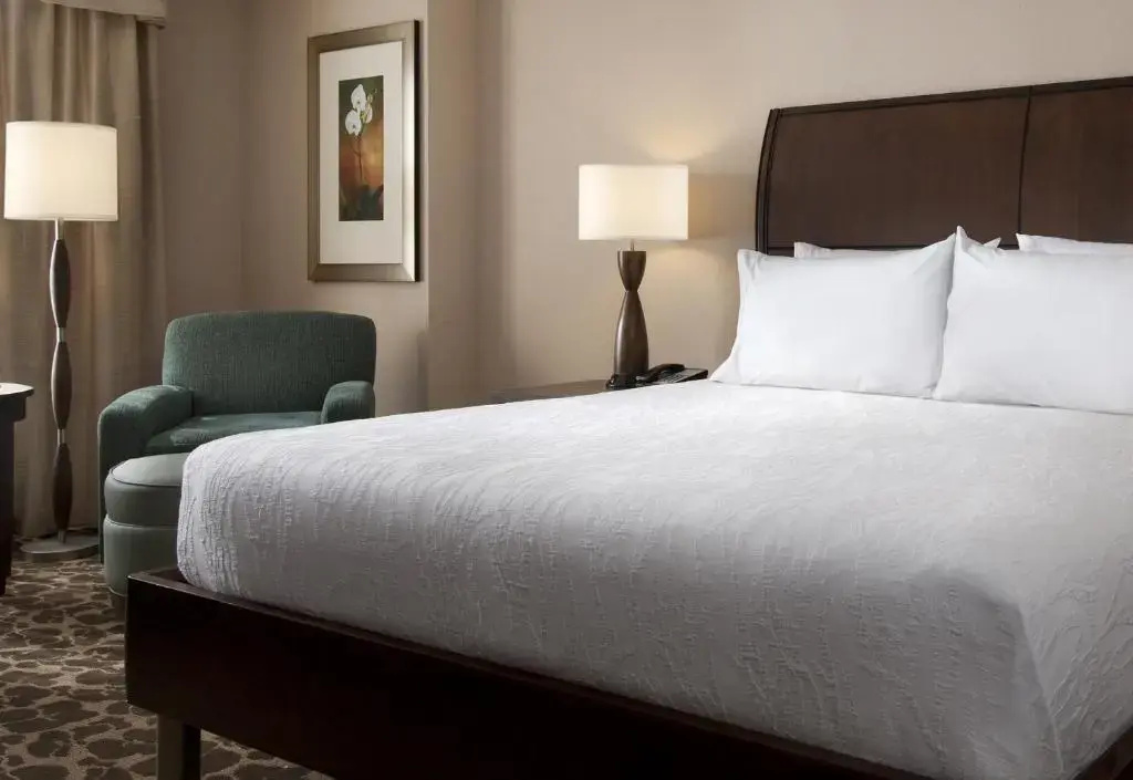 Hilton Garden Inn Seattle North/Everett - Chambres