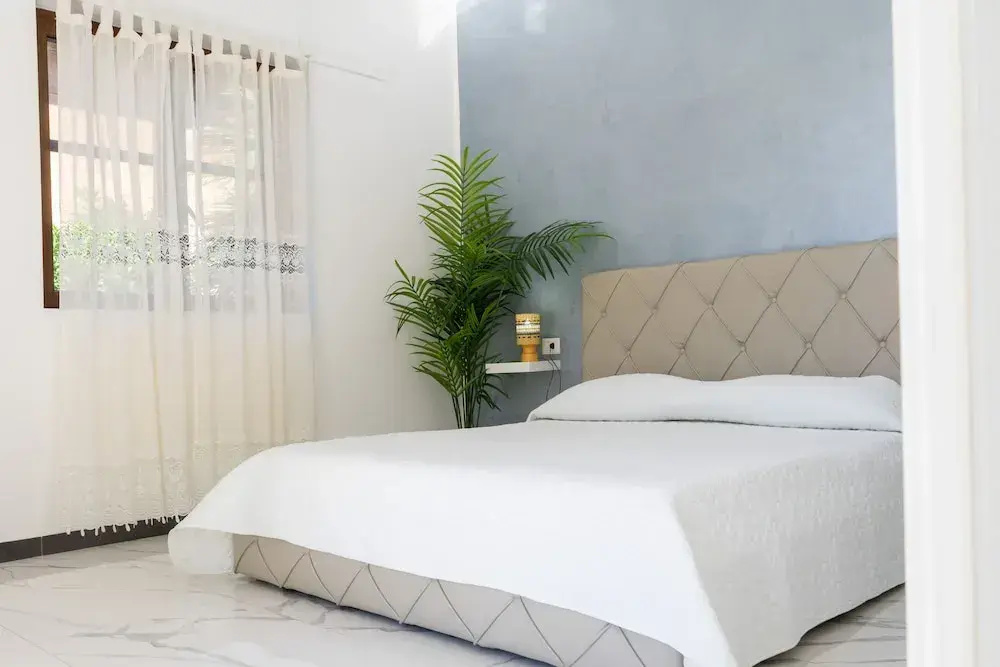 Deluxe Double room (full double bed)