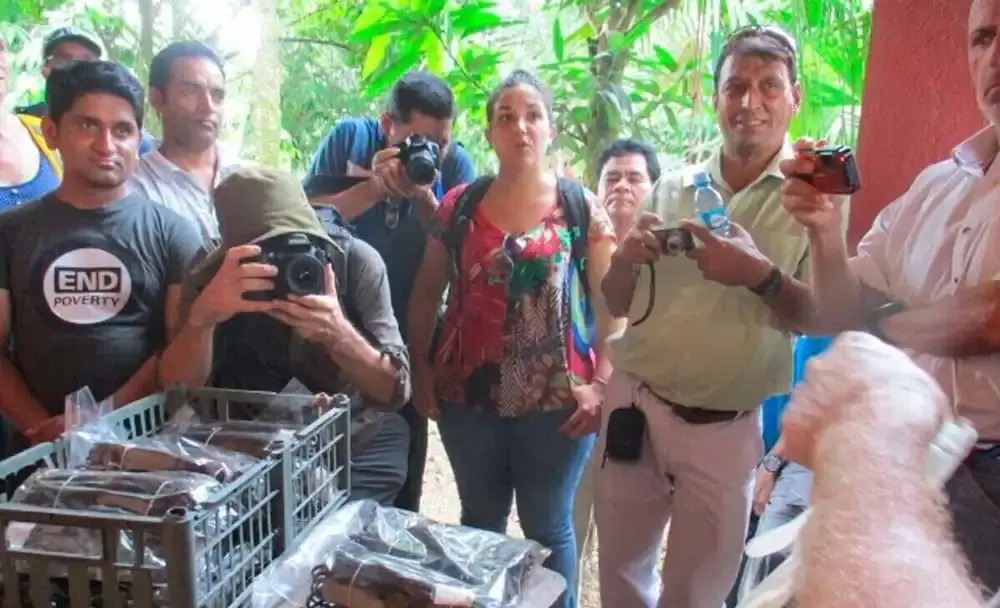 Vanilla Jungle Lodge - Bed & Breakfast - фото 9