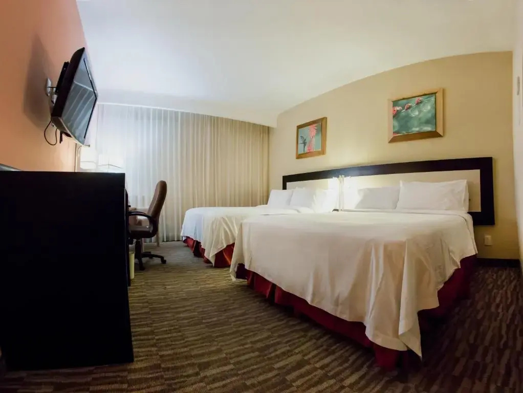 Excellence Express San Juan del Río - Chambres