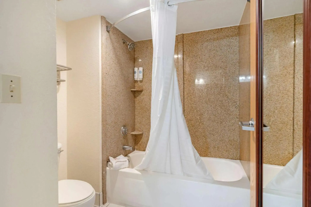 Comfort Inn Kissimmee-Lake Buena Vista South - Général