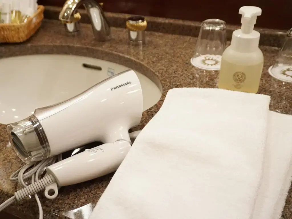 Mito Plaza Hotel - Chambres