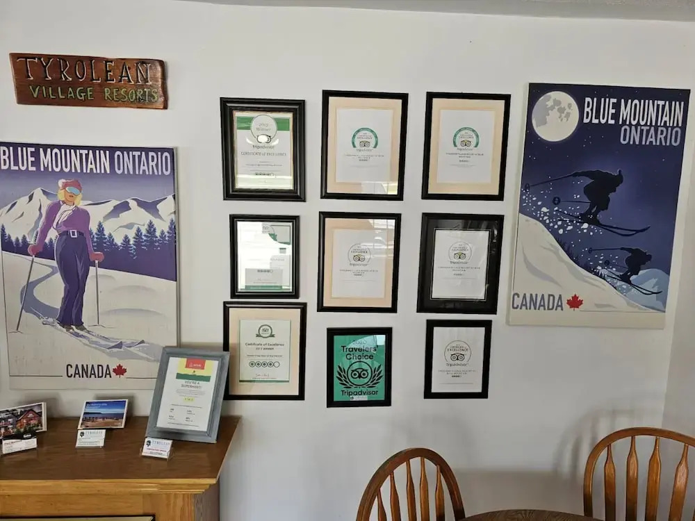 Spacious 8 bdrm Blue Mountain Cottage, Perfect for Large Groups, Private Beach, BBQ, Hot Tub, Sauna - фото 9