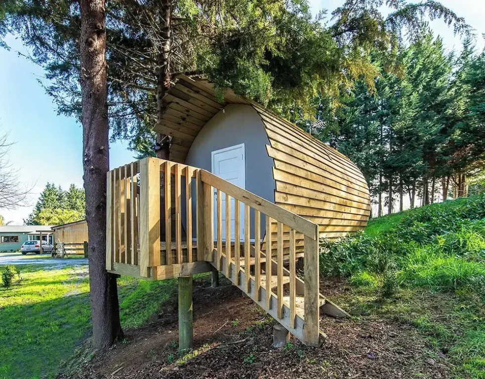 Morning Calm Lodge Limited