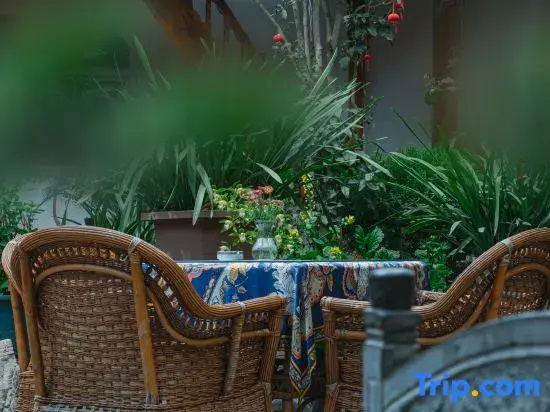 Balcony & Terrace