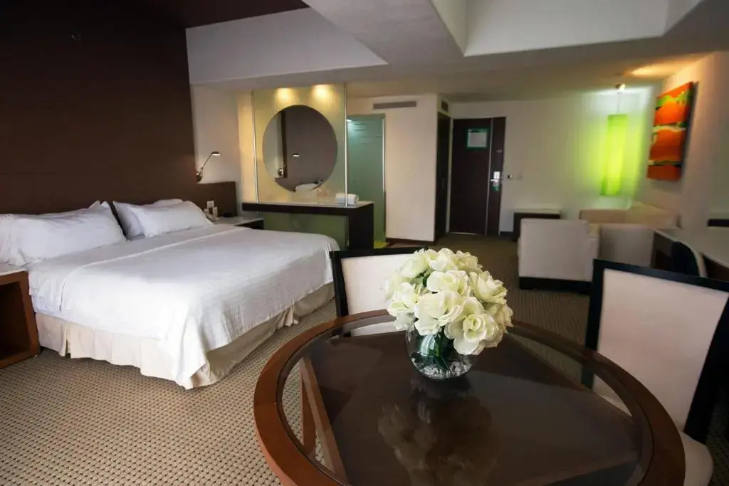 Bel Air Business Salamanca, Trademark by Wyndham - Chambres