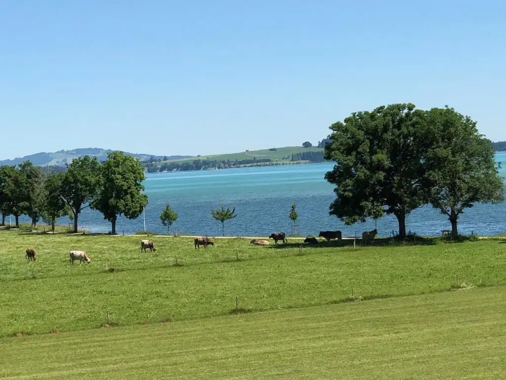 Alpenglück de Luxe Ferienwohnung am Forggensee - Chambres