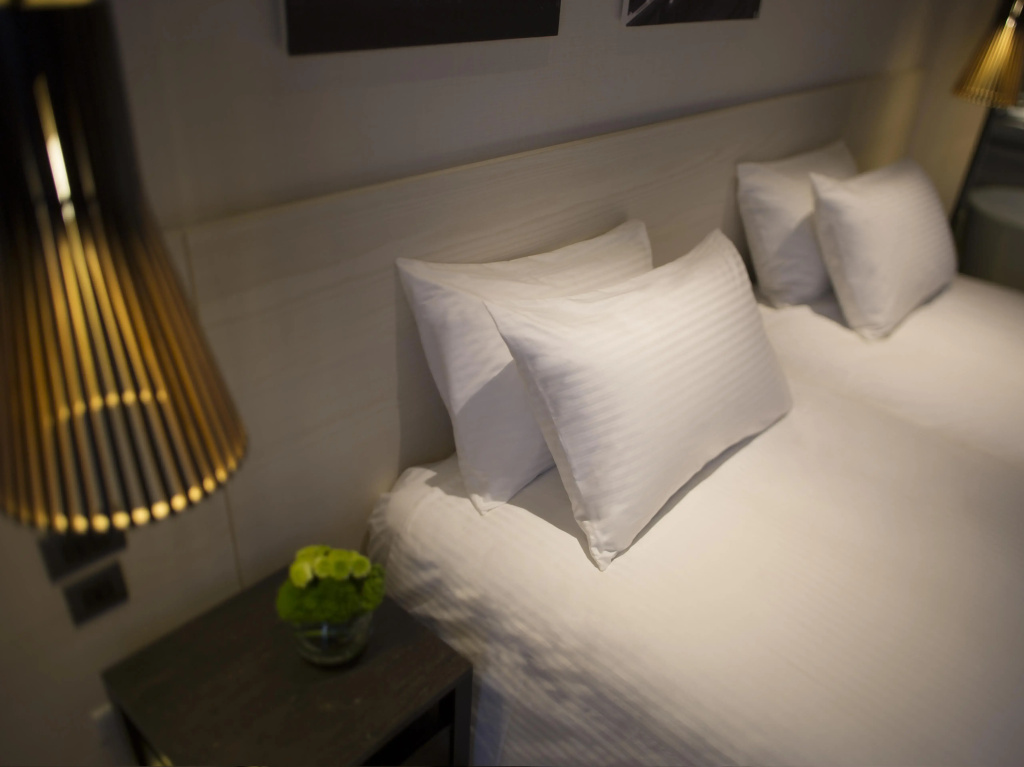 Deluxe Double room (twin beds)