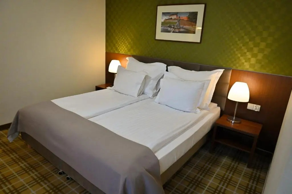 Hotel Rudnik - Chambres