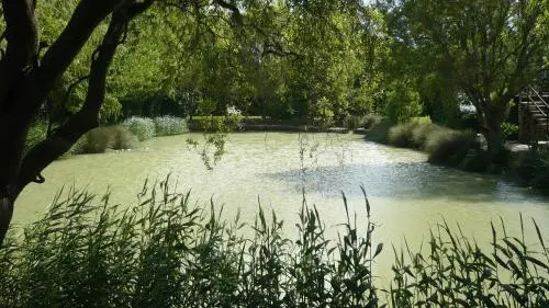 Voir la photo 4 — Manoir Ville Davy