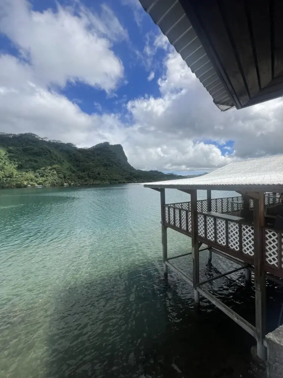Tiare - Faaroa Bay Villa - фото 24