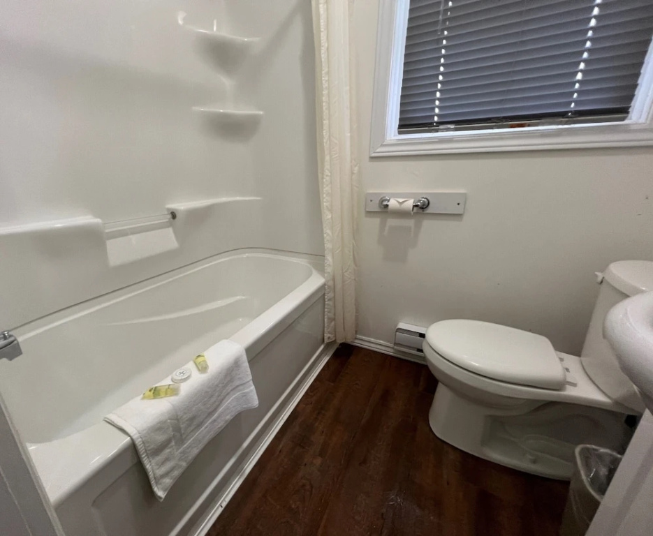 1 Bedroom Standard Suite with partial view
