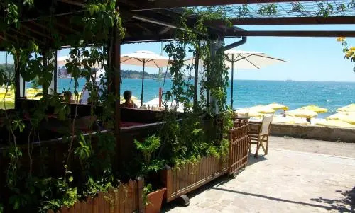 Beach & Waterfront