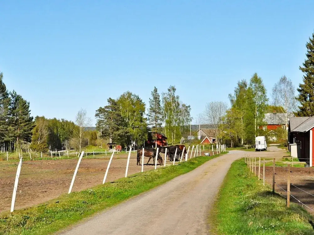 4 Person Holiday Home in Årjäng